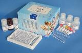 Diazepam ELISA Test Kit