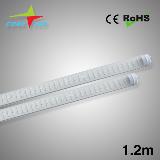 hot-sell AC90-260V T8 Tube 18W 1200mm