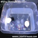 UGL Liquid cooling led light bulb--6W
