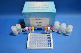 Fluoroquinolone ELISA Test Kit