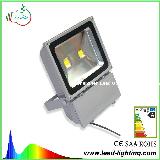 Outdoor led flood light with CE RoHS SAA approval LD-FL-100W-CL1