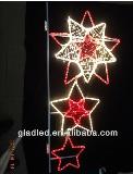 motif lights/Customized pattern /flexible/ (holiday light)