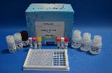 Aflatoxin M1 ELISA Test Kit