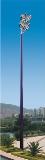 LED high pole lamp MCG-2004
