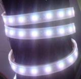 Dripping glue Waterproof 5050 Flexible LED Strip Light(30LEDs/m)