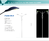 Fuguang Lighting Street Lamp FGDD-09-9