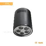 5W/7W Dimmable Surface Mounted LED Downlight With CE Rohs Certifated