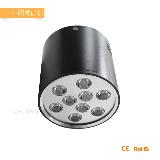 9W/12W Epistar Surface Mounted LED Downlight Dimmable With CE Rohs Certificated