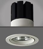 Hot sale MERCANVEE LED Ceiling Light be used Citizen or Cree chips