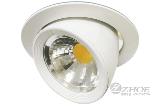 ZH-CDL2915-15W hot sale and new design 15wTurning the head COB LED downlight