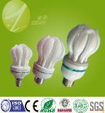 Special Lotus CFL Energy saving