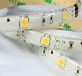 SMD LED Flxible Strip Light  5050