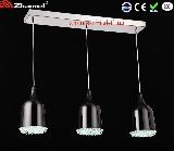 2013 New Design Modern Pendant Lamp