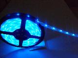 12V LED Flexible Strip Light-SMD5050/48P-Blue
