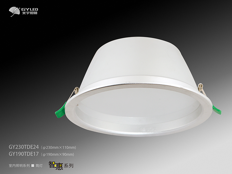 17w LED Down light with CE & RoHS (GY190TDE17/220AC)