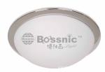 Ceiling Light   LM9063