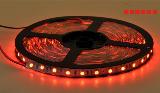 5meter/rool smd led strip red 12v 5050 smd 300led from china factory price