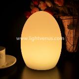 LED Table Lamp lightvenus