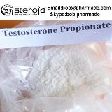 Testosterone Propionate steriod powder bob.pharamde