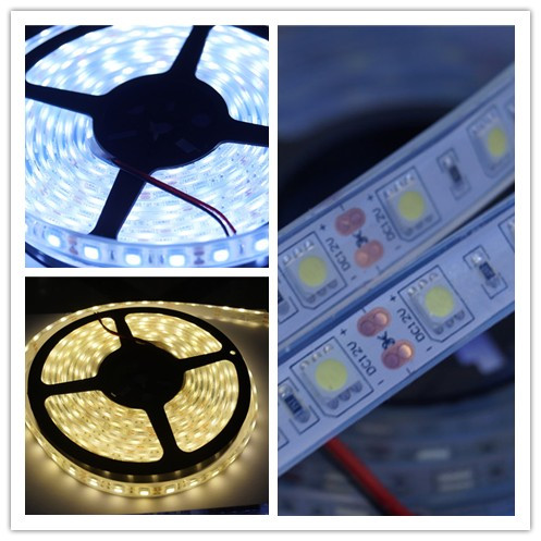 Sanxin LED Strip Light 5050 IP68 Waterproof 60LED 5M