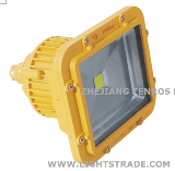 Chinese Factory COB LED Explosion-proof Floodlight