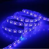 Outdoor Warm white smd 5050 waterproof flexible dimmable strip light