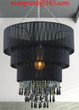 Decorative indoor pendant lighting lamp shade morden design CW17