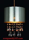 Decorative indoor pendant lighting lamp shade morden design PF04