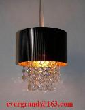indoor lighting decoration pendant lamp acrylic shade  PF14