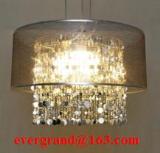 indoor lighting decoration pendant lamp acrylic shade PF45