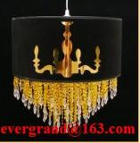 Decorative indoor pendant lighting lamp shade morden design PF48