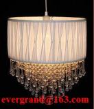 Decorative indoor pendant lighting lamp shade morden design PF66
