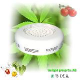 90W UFO LED garden plant lamp used grow lights sale with CREE LED chips