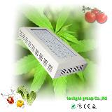 120w LED Grow Lights For Hydroponic Nutrients TLG-03