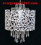 Decorative indoor pendant lighting lamp shade morden design J015
