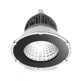LED focus light, IP65, 100W, 3020 SMD LED, meanwell power supply, high efficiency