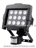 12W LED WALL LIGHT WITH MONTION SENSOR
