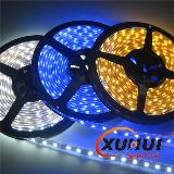 Family Blue IP65 ROHS LED Strip SMD 5050