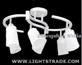 Hot Sale 6 Sockets Bell Jar Shade Ceiling Light, Ceiling Lamp