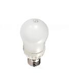 LED Bulb (6W)