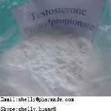 Testosterone Phenylpropionate shelly@pharmade.com