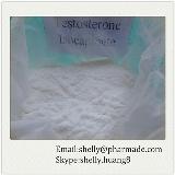 Testosterone Isocaproate steriod powder supplier from China
