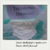 Testosterone Decanoate steriod powder supplier from China