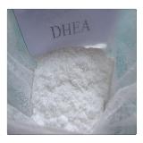 Dehydroepiandrosterone steriod powder supplier from
