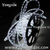 Hot selling christmas outdoor decoration 2 wires led rope light