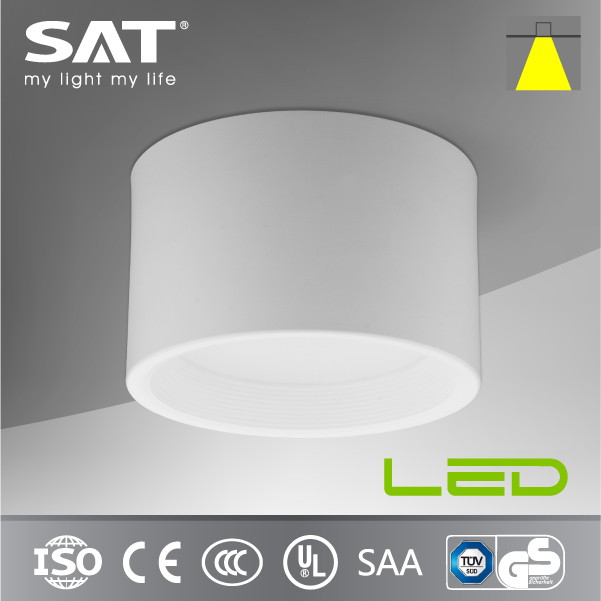 SAA/TUV Listed 25W LED Surface Mounted Ceiling Light