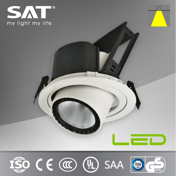Adjustable Lighting Direction Cree COB Chips 35W High Power Led Downlight