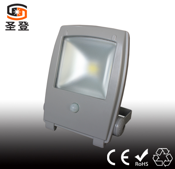 PIR LED Flood Light Indoor Lighting 2 Years Warranty Competitive Price(SD-F006PIR)