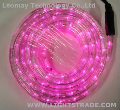 2 Wire Horizontal Led Rope Light-Pink