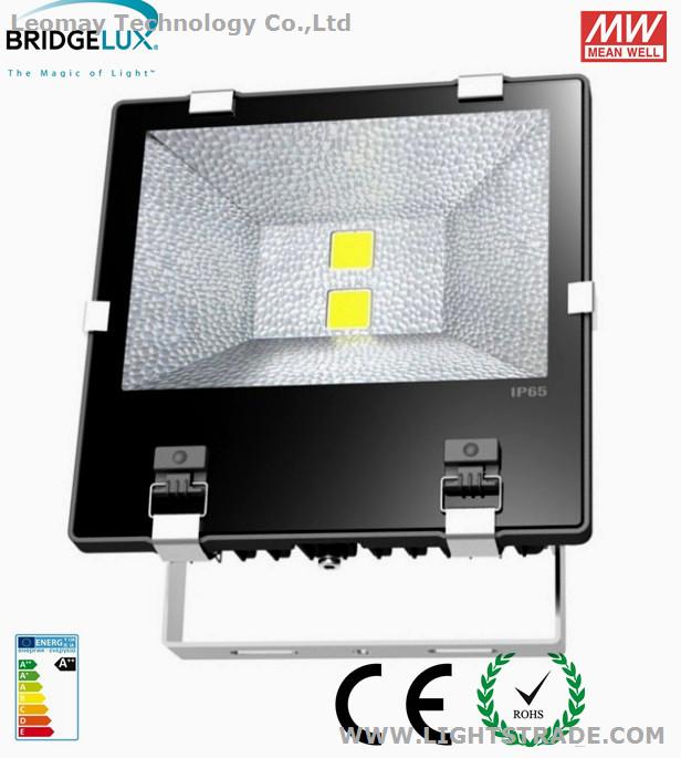 New 120W COB Led Flood with Heat Pipe